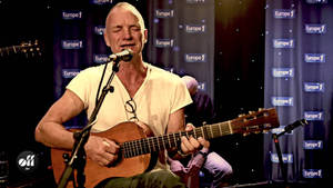 Sting Famous Musician Wallpaper