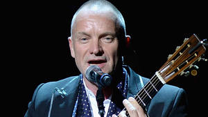 Sting Singing Artist Wallpaper