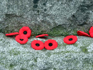 Stirring Remembrance Day Tribute – Poppies Adorning A Statue Wallpaper