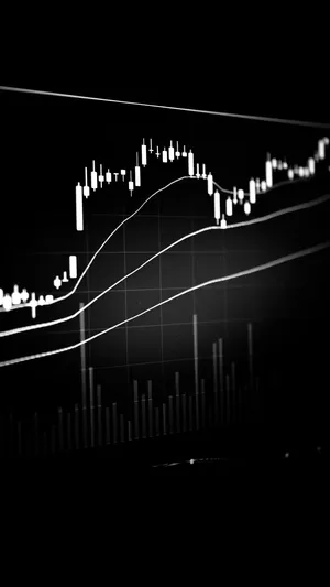 Stock Market Candlestick Chart Monochrome Wallpaper