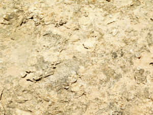 Stone Texture Wallpaper