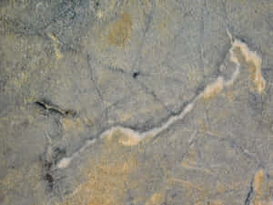 Stone Texture Wallpaper