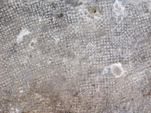 Stone Texture Wallpaper