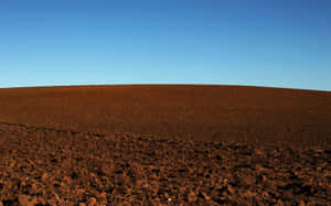 Stony Natural Soil Sunny Day Wallpaper