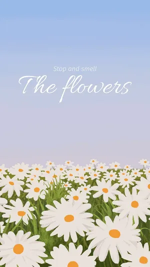 Stop And Smell The Flowers_ Inspirational Daisy Field Wallpaper