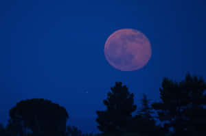 Strawberry Moon Night Sky Wallpaper