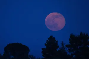 Strawberry Moon Night Sky Wallpaper