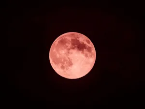 Strawberry Moon Night Sky Wallpaper