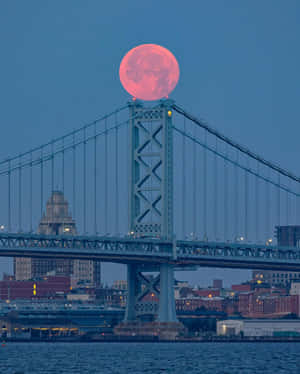 Strawberry Moon Over Bridge Wallpaper