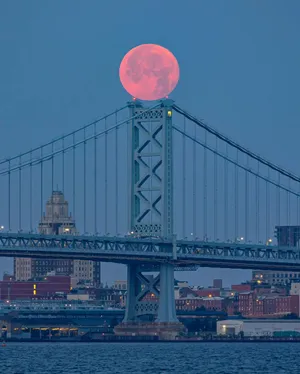 Strawberry Moon Over Bridge Wallpaper