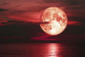 Strawberry Moon Over Water Wallpaper