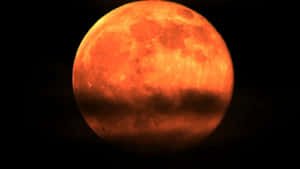 Strawberry Moon2019 Wallpaper