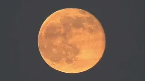 Strawberry Moon2019 Wallpaper