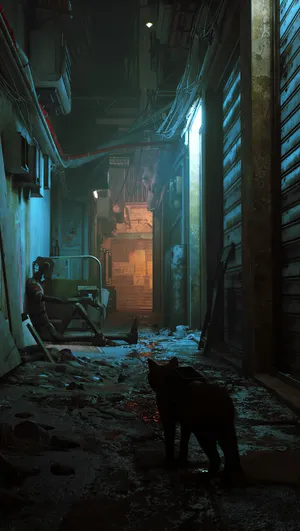 Stray_ Cat_in_ Urban_ Alley Wallpaper