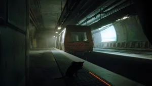 Stray Catin Subway Tunnel Wallpaper