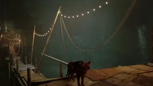 Stray Caton Suspended Bridgeat Night Wallpaper