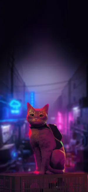 Stray Game Cyber Cat Adventure Wallpaper