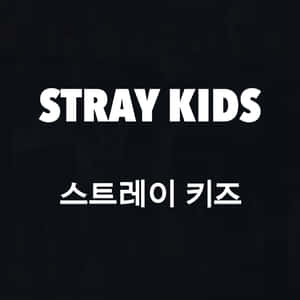 Stray Kids Logo Black Background Wallpaper