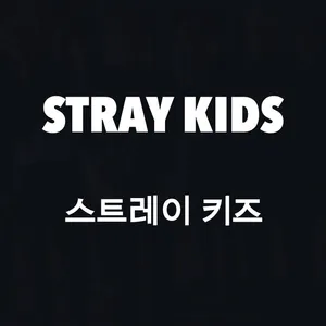 Stray Kids Logo Black Background Wallpaper