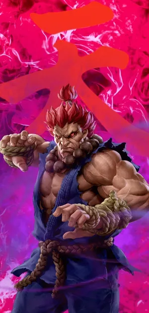 Street Fighter Akuma Fierce Stance Wallpaper