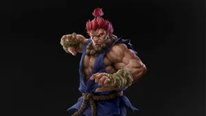 Street Fighter Akuma Power Stance Wallpaper