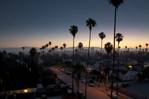 Street In Los Angeles 4k Wallpaper