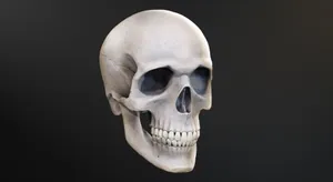 Striking 3d Skull Art Wallpaper Wallpaper