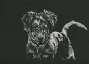 Striking Black And White Animal Portrait Wallpaper