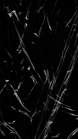 Striking Black Plastic Sheet Wallpaper