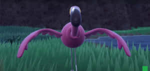 Striking Flamigo Front View Wallpaper