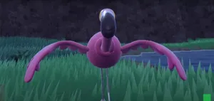 Striking Flamigo Front View Wallpaper