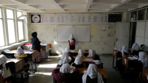 Stringent Afghan Classroom Wallpaper
