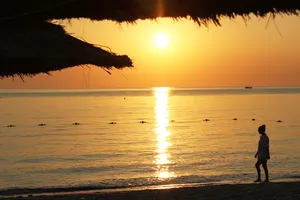 Strolling On A Serene Beach Wallpaper