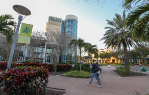 Students Walking Across University Of South Florida Campus Wallpaper