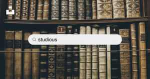 Studious Word Wallpaper