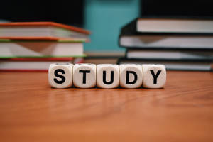 Study Motivation Boggle Dice Wallpaper