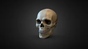 Stunning 3d Skull Wallpaper Wallpaper