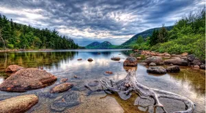 Stunning 4k Hdr Forest Landscape Wallpaper