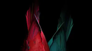 Stunning 4k Oled Display With Vibrant Colors And Sharp Details Wallpaper