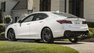 Stunning Acura Tlx In Action On A Scenic Mountain Road Wallpaper