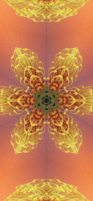 Stunning Aerial View Of A Serene Lake And Forest In Ios 17 Wallpaper Wallpaper