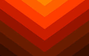 Stunning Autumn Colors In The Forest Wallpaper