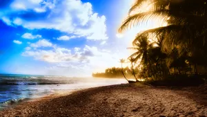 Stunning Beach Shore Wallpaper
