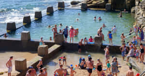 Stunning Beach Swimming Pool Overlooking The Ocean Wallpaper