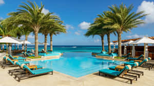 Stunning Beach Swimming Pool Overlooking The Ocean Wallpaper