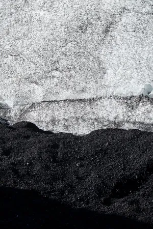 Stunning Black And White Texture Wallpaper Wallpaper