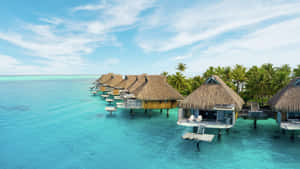 Stunning Bora Bora Beach Paradise Wallpaper