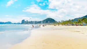 Stunning Brazilian Beach With Crystal Clear Waters And Golden Sands Wallpaper