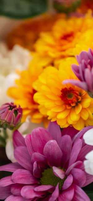 Stunning Bridal Bouquet In Bride's Hand Wallpaper