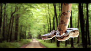 Stunning Brown Snake In Its Natural Habitat Wallpaper